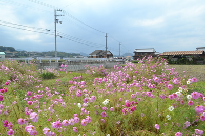 DSC_0932.JPG