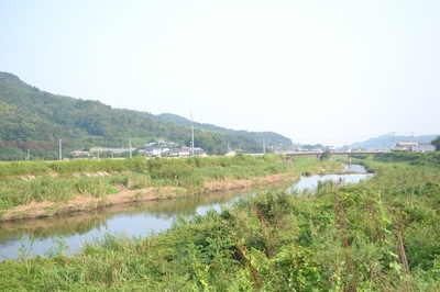 DSC_0934.JPG