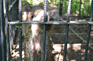 DSC_1146.JPG
