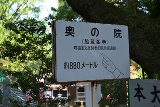 DSC_1165.JPG
