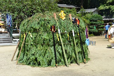 DSC_1270-thumbnail2-thumbnail2.jpg