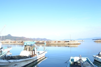 DSC_1347.JPG