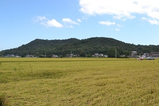 DSC_1584.JPG