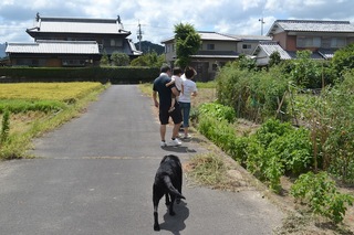 DSC_1593.JPG