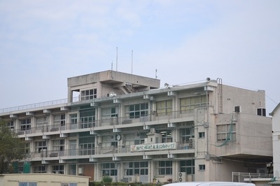 DSC_2354.JPG