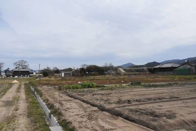 DSC_2410.JPG