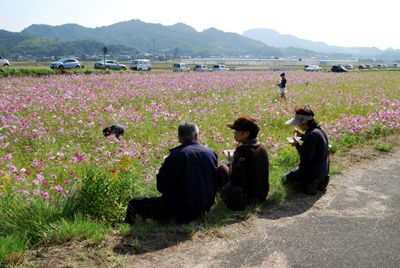 DSC_2440_S.jpg