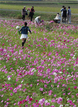 DSC_2454_ES.jpg