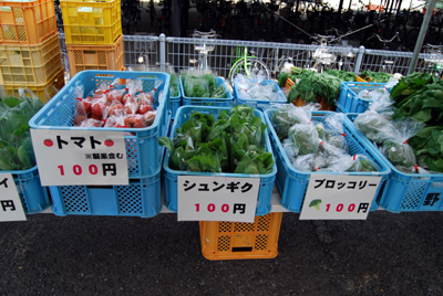 DSC_2530_S.jpg
