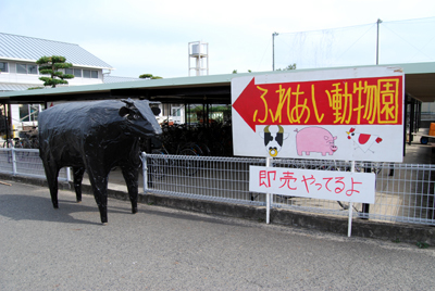 DSC_2551_S.jpg