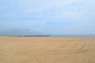 DSC_2559.JPG