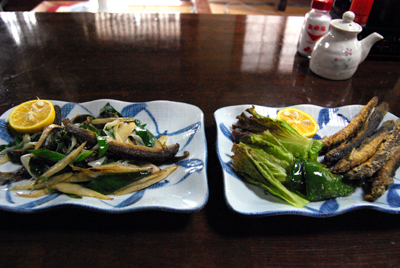 DSC_2864_S.jpg