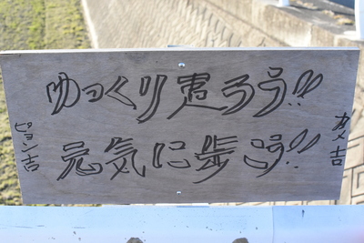 DSC_3041.JPG