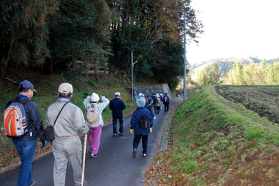 DSC_4037_S.jpg