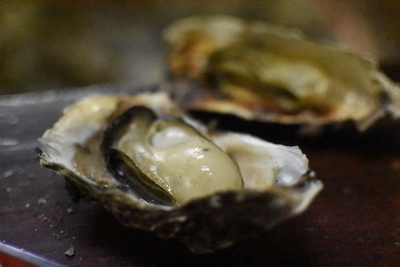 DSC_4092-thumbnail2.JPG