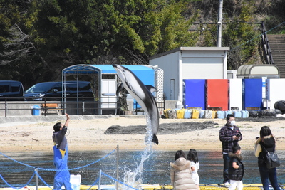 DSC_4585.JPG
