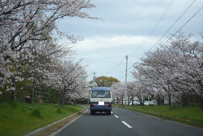 DSC_5164.JPG