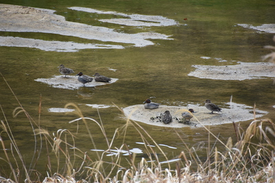 DSC_5296.JPG
