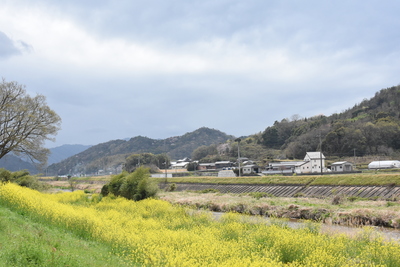 DSC_5300.JPG