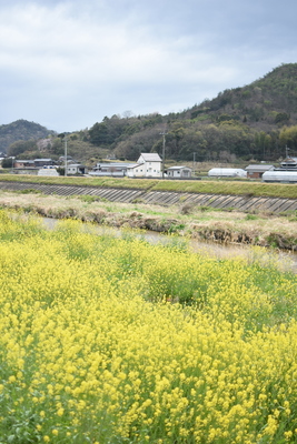 DSC_5310.JPG