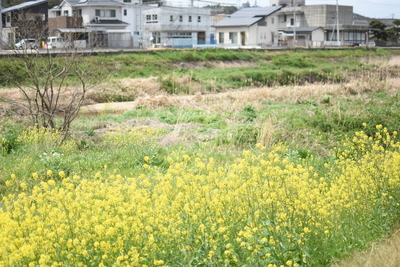 DSC_5314.JPG