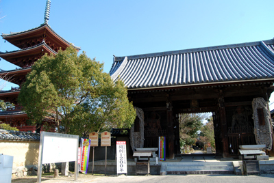 DSC_5622_S-thumbnail2.jpg