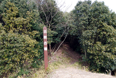 DSC_5728_S.jpg