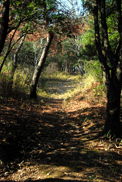 DSC_5756_S.jpg