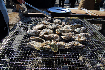 DSC_6393_S.jpg