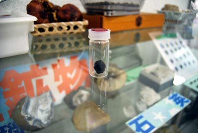 DSC_7313_S.jpg