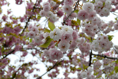DSC_8138_S.jpg