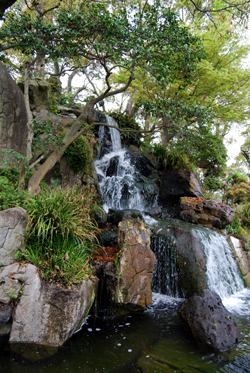 DSC_8154_S.jpg