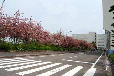 DSC_8173_S.jpg