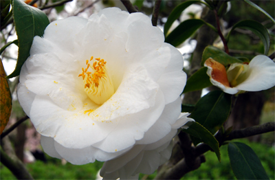 DSC_8174_ES.jpg