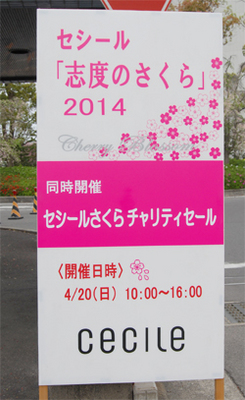 DSC_8183_ES.jpg