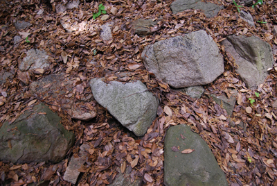 DSC_8441_S.jpg