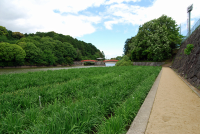 DSC_8593_S.jpg