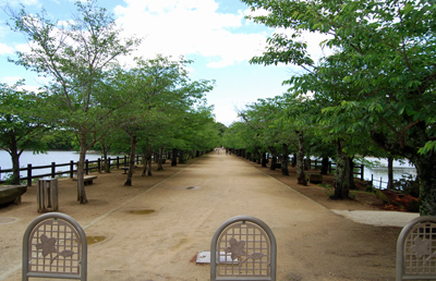 DSC_8616_S.jpg