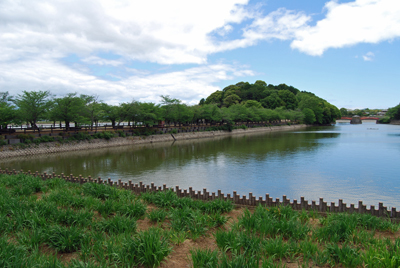 DSC_8618_S.jpg