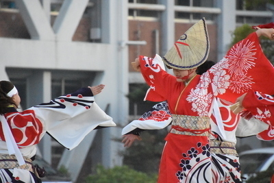 DSC_9413-thumbnail2.JPG