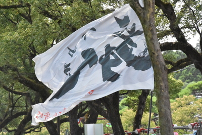 DSC_9446.JPG