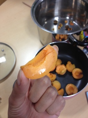 あんず.jpg
