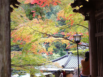 大窪寺紅葉情報 18年11月2日現在 多和 さぬき市再発見ラジオ あそびの達人