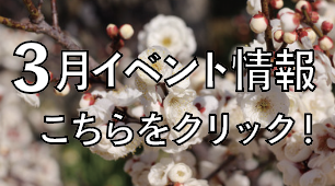 XN[Vbg 2025-03-03 20.27.23.png