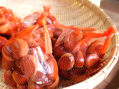 ̖ݒ 1 ̃Rs[ڂ4.jpg