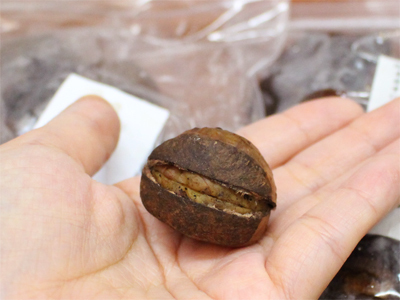 ̖ݒ 1 ̃Rs[yasoba3.jpg