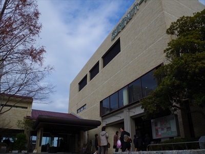 IMGP0028_R.jpg