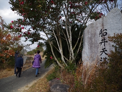 IMGP0620_R.jpg