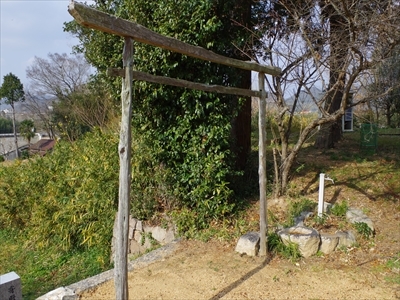 IMGP0625_R.jpg
