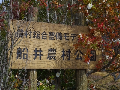 IMGP0634_R.jpg